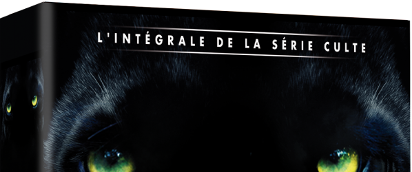 DVD NEWS - MANIMAL - Sortie aujourdhui en DVD