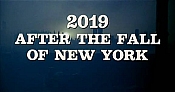 Photo de 2019 après la chute de New York 19 / 27
