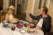 Photo de Absolutely Anything 1 / 4