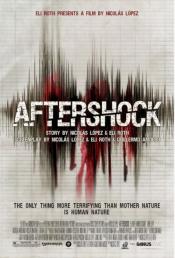 Photo de Aftershock, l'enfer sur terre 13 / 14