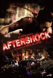 Photo de Aftershock, l'enfer sur terre 14 / 14