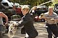 Photo de Alex Rider: Stormbreaker 3 / 16