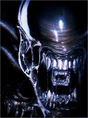 Photo de Alien vs. Predator 5 / 9