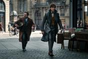 Photo de Animaux fantastiques: Les Crimes de Grindelwald, Les 3 / 42