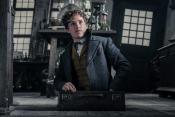 Photo de Animaux fantastiques: Les Crimes de Grindelwald, Les 5 / 42