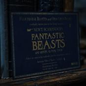 Photo de Animaux fantastiques: Les Crimes de Grindelwald, Les 41 / 42