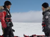 Photo de Antarctic Journal 6 / 7