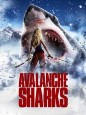 Photo de Avalanche Sharks 1 / 1