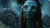 AVATAR New Image of Neytiri in AVATAR