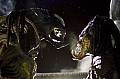 Photo de Aliens vs. Predator: Requiem 7 / 31