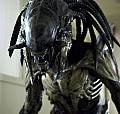 Photo de Aliens vs. Predator: Requiem 9 / 31
