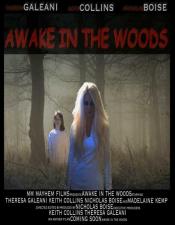 Awake in the Woods