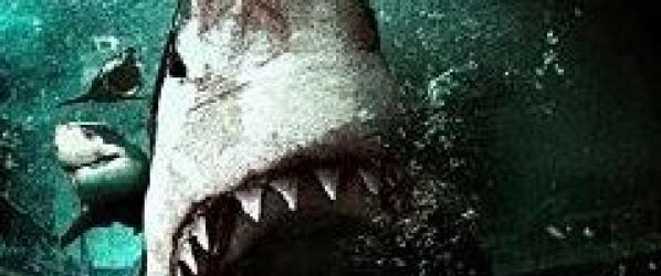 MEDIA - BAIT - La bande-annonce