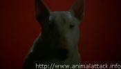 Baxter