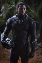 Photo de Black Panther 3 / 93