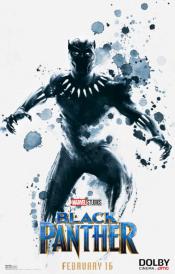 Photo de Black Panther 90 / 93