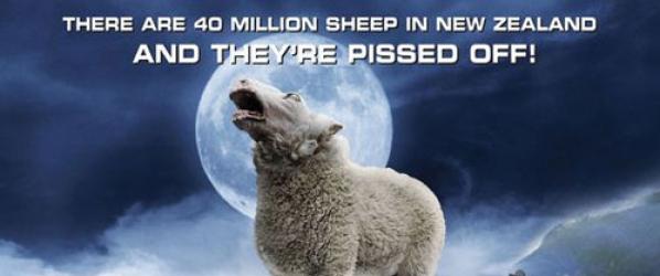 BLACK SHEEP BLACK SHEEP - Affiches photos trailers