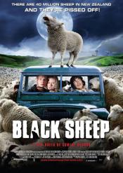 BLACK SHEEP BLACK SHEEP - Affiches photos  trailers 