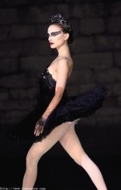 Photo de Black Swan 3 / 23