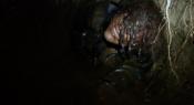 Photo de Blair Witch 8 / 47