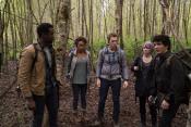 Photo de Blair Witch 24 / 47