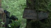 Photo de Blair Witch 31 / 47