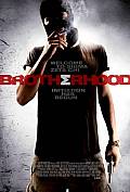 Photo de Brotherhood 1 / 1