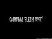 Photo de Cannibal Flesh Riot 2 / 8