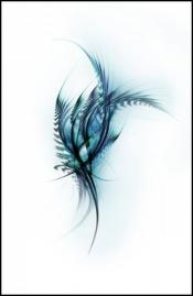 Photo de Comforting Skin 4 / 4