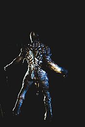 Photo de Creature 4 / 10