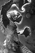 Photo de Creature from the Black Lagoon 1 / 3