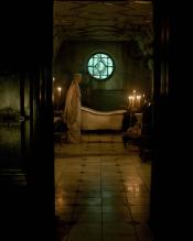 Photo de Crimson Peak 6 / 45