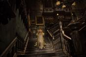 Photo de Crimson Peak 20 / 45