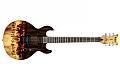 THE DEVILS REJECTS Gagnez la guitare Devils Rejects