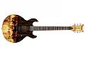 THE DEVILS REJECTS Gagnez la guitare Devils Rejects 