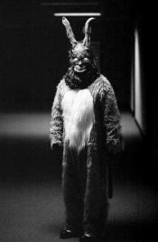 Photo de Donnie Darko 16 / 37