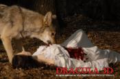 Photo de Dracula 3D 29 / 52