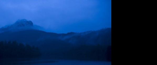 After Dark Films - De nouvelles images pour AUTOPSY et DYING BREED