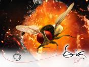 Photo de Eega 28 / 31