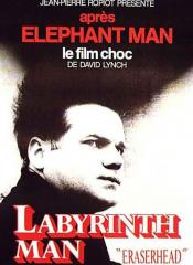 Labyrinth Man