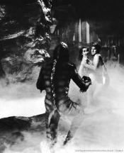 Photo de Etrange Créature Du Lac Noir, L' 4 / 52