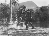 Photo de Etrange Créature Du Lac Noir, L' 9 / 52