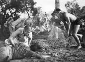 Photo de Etrange Créature Du Lac Noir, L' 15 / 52