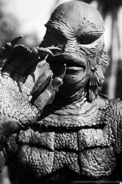 Photo de Etrange Créature Du Lac Noir, L' 20 / 52