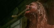 Photo de Evil Dead 22 / 44