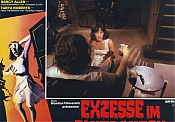 Photo de Forced Entry 7 / 11