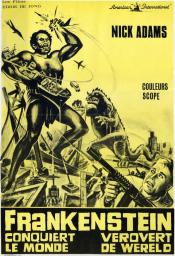 Photo de Frankenstein Conquiert le Monde 7 / 8