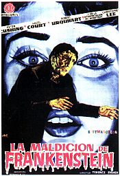 Photo de Frankenstein S'Est Echappé! 11 / 21