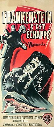 Photo de Frankenstein S'Est Echappé! 14 / 21