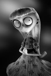 Photo de Frankenweenie 24 / 70